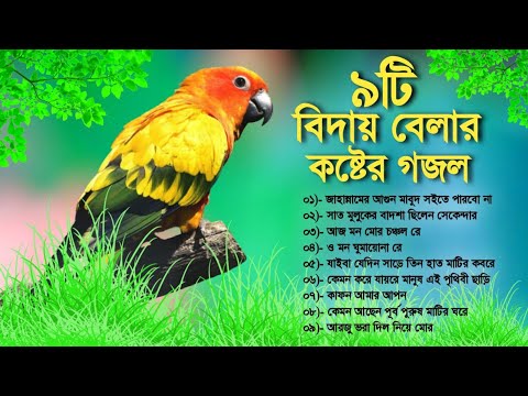 ৯টি বিদায় বেলায় কষ্টের গজল | গজল গুলি শুনলে মরণের কথা স্মরণ হবে | Most Popular Top 9 Bangla Gojol