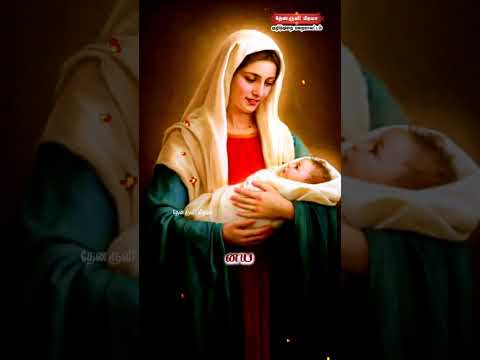 Tamil Catholic Status song-Tamil Catholic Status song (செல்லமே என் செல்வமே) - 20.12.2024)