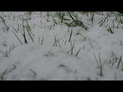 footage + snowfield