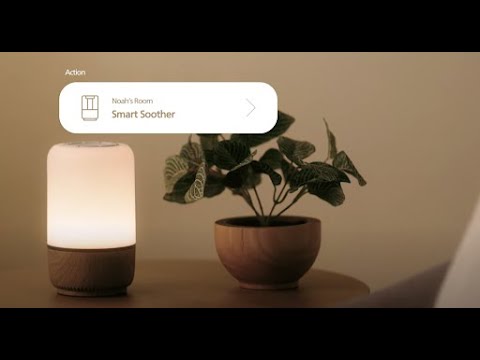 Connected Smart Soother | Safety 1st