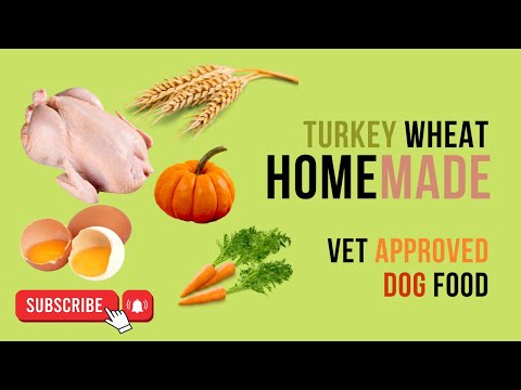 Turkey and Wheat Homemade vet approved easy to cook Human grade dog food | blogsbyibrar