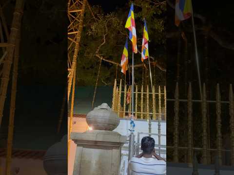 #Anuradhapura#ජයශ්‍රිමාහාබොධිය