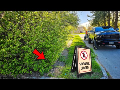 NO WAY This Overgrown Sidewalk Is SAFE To Use | Let's Restore This Mess!