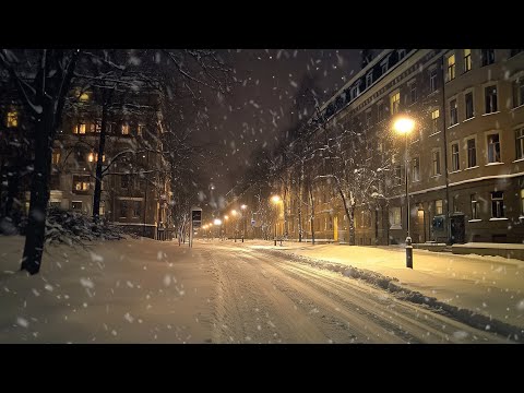 Intense Blizzard Wind Sounds Perfect for Sleep & Focused Study | Powerful Snowstorm & Strong Wind