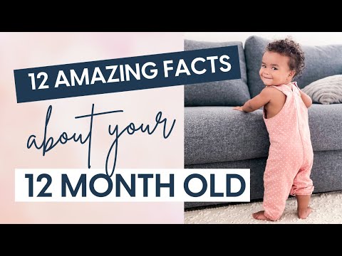 12 Essential Facts About Your 12 Month Old // 12 month old baby development and baby milestones