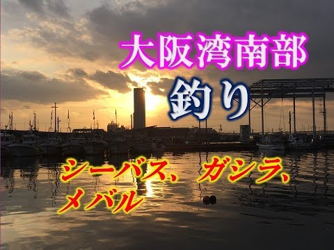 (釣り)大阪湾南部で夜釣り！カサゴ、ガシラ、メバル、シーバス狙い！アジング、ミノー、ジグ、ワームで