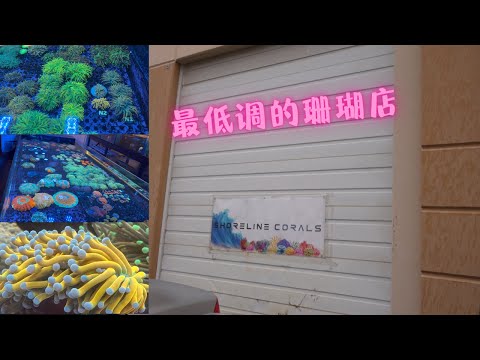 LFS Tour, tons of corals!