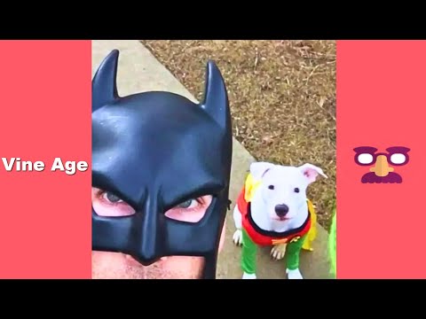 Top Vine Video of BatDad | Try Not To Laugh Watching BatDad Comedy Compilation