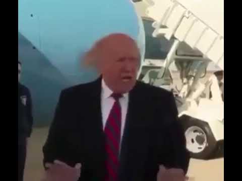 Donald Trump head slap