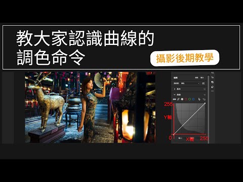 【#lightroom 後期調色課程】EP5:認識曲線的調色命令（粵語) #攝影教學  #攝影