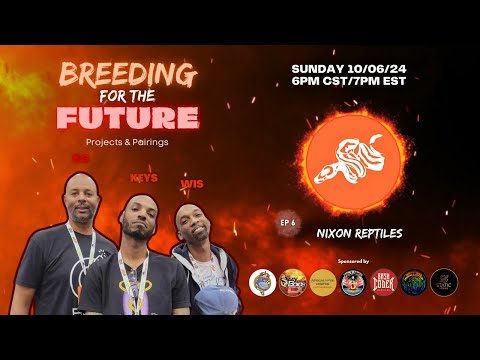 BFTF Ep 6 - Nixon Reptiles