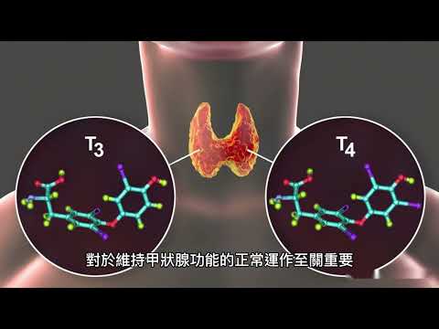 馬可--碘的防護力量：預防輻射傷害與核廢水排放