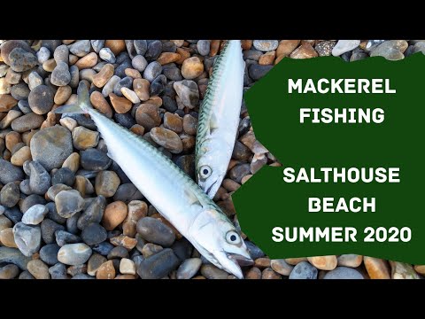 Summer 2020 Mackerel Fishing | Salthouse Beach North Norfolk | Catch And Cook Quest | Special Guest