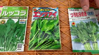 夏の葉物野菜の品種紹介