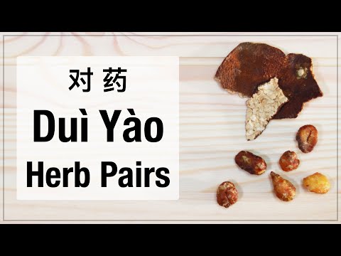 Dui Yao - Herbal Pairs in Traditional Chinese Medicine