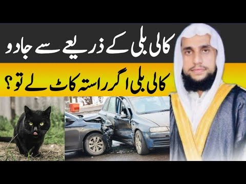 Kali Billi Ka rasta Katne se Museebt Ati he | Kali Billi Se Jadu | Qari Abdul Basit Salfi