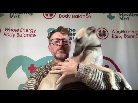 Learn all about Dr Ed's (The Healing Vet) number 1 anxiety cure in this video! 

Love to hear what y