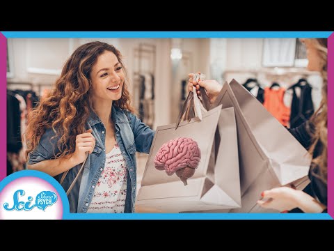 Your Brain on Retail Therapy