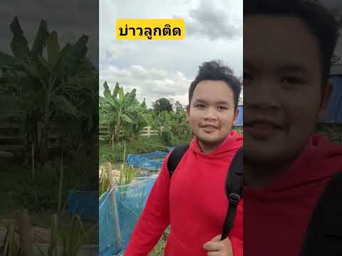 บ่าวลูกติด #นักเรียน #น่ารัก #ผู้ชายหล่อ #ติดตาม #thailand #สาวลาว #คนไทยในต่างแดน #คนอีสาน