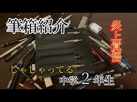 しゃしゃってる中学二年生の筆箱の中身紹介#文房具#シャーペン