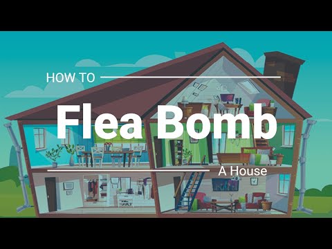 Step by Step instructions to Flea Bomb your house | The Guardians Choice