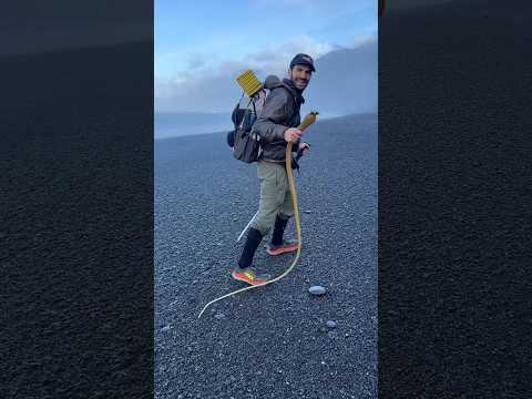 The Lost Coast: California’s longest stretch of undeveloped coastline!