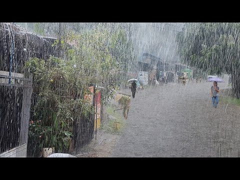 super heavy rain in my cold village, very heavy, fell asleep instantly with the sound of heavy rain