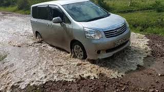 Toyota Noah is the best car in the world