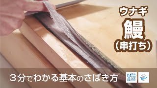 鰻（うなぎ）のさばき方：串打ち - How to filet Japanese Eel ver. Kushi-uchi -｜日本さばけるプロジェクト（海と日本プロジェクト）