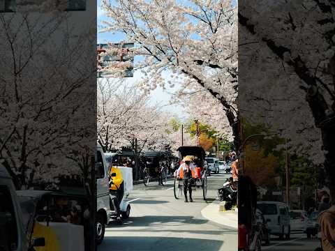 Japanese town of Arashiyama