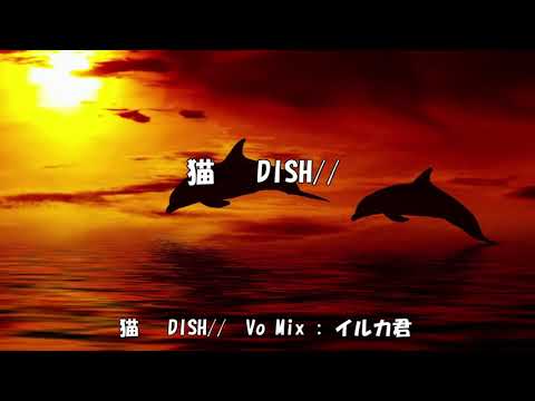 リベンジ　猫   DISH　歌ってみた ver.イルカ君