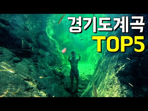 [2024년 최신판] 계곡유튜버가 추천하는 경기도계곡 TOP5