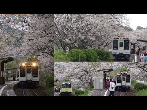 【松浦鉄道】浦ノ崎駅2024