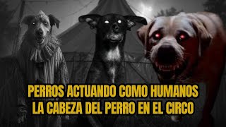 Perros actuando como humanos. La cabaña y el perro.