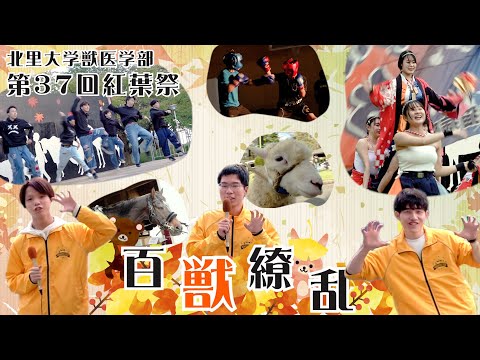 北里大学獣医学部 第37回 紅葉祭2022