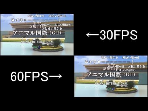 【コメ付き】JAPAN WORLD CUP 3 〜第4レース 出馬紹介〜 (30FPS 60FPS比較)