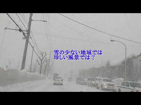 札幌の吹雪と除雪