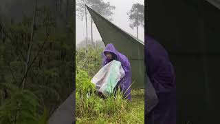 HEAVY RAIN CAMPING #shorts  #campinginheavyrain #campingintherain #solocamping