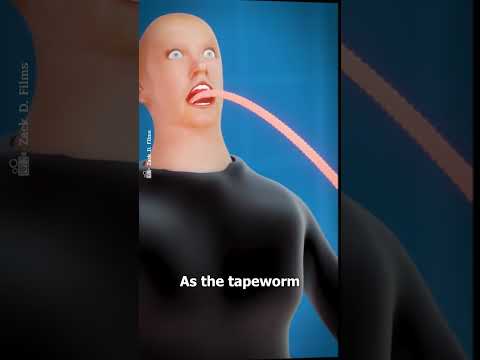 টেপওয়ার্ম কি - What Is A Tapeworm? 😨   Zack D. Films Bangla Dubbed