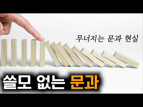 문과가 망해갈 수밖에 없는 현실 분석 (feat. 서울대 철학과, 독문과 전공한 인문학 덕후...)