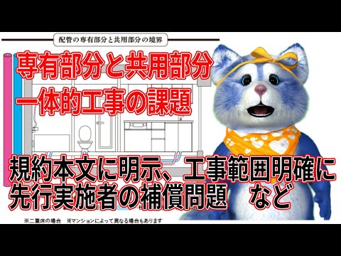 標準管理規約改正案の共用部分と専有部分の一体的改修について、ようやく実務に追いついた、工事範囲を明確にすべき、先行工事者補償に納得いかない場合は裁判　などなど