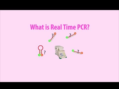 Real Time PCR - Basic simple animation - part 1 intro HD