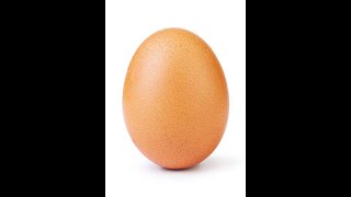 Egg