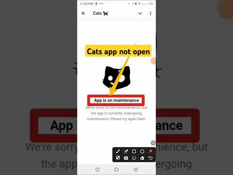 App is on maintenance | cats bot not opening problem