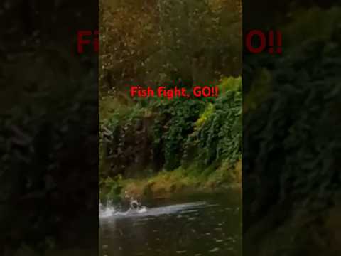 HUGE CHUM SALMON, SATSOP RIVER FISHING, HER 1ST FISH CLIP FROM FULL EP #shorts #christmas #fishing