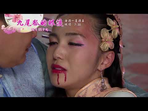 新戲說台灣-九尾狐的眼淚(06-10)02月05起