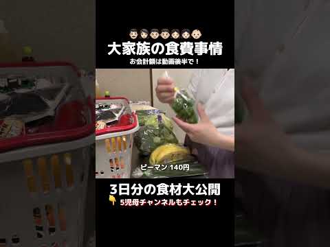 【大家族まとめ買い】食材1万5000円超え💸#食費 #節約 #買い物ルーティン #youtubeshorts #切り抜き