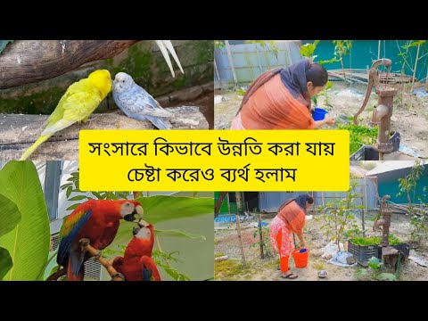 জীবন যুদ্ধে আমি হেরে যাচ্ছি 😭😭😭#trending #newvlog #nishebd