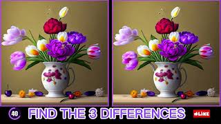 想测试你的观察力？来尝试这个找不同游戏！😊Find the 3 difference & spot it👉 out : The Ultimate Difference Test(# 1)