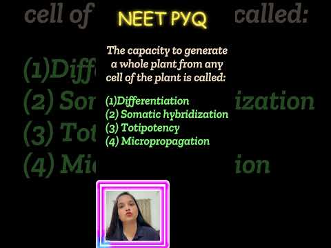 Ans this NEET PYQ #neet #futuredoctors  #neetpyqs #neet2025 #biology